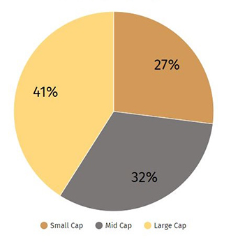 Pie chart showing Market Cap Distribution: Large Cap-41%, Mid Cap-32%,  Small Cap-27%